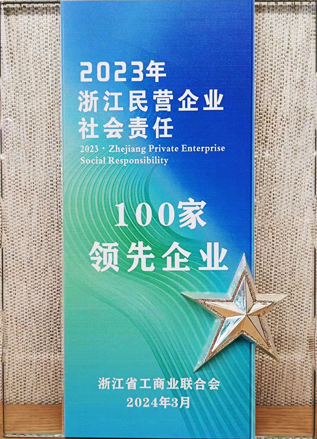 11.浙江民營企業社會責任100家領先企業